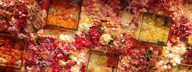 sachi🌌さんの壁紙画像