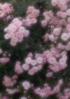 𝓀𝒾𝒹　*̩̩̥　人気アイドルの裏の顔