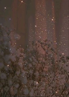 𝓌𝓉𝓇𝒾　*̩̩̥　バンドマンと付き合ってはいけない理由