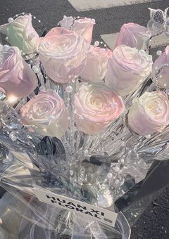 やまりおへんげの写真集