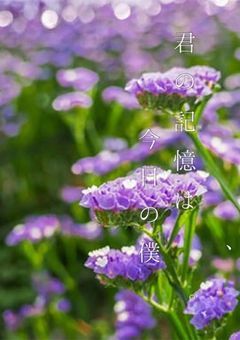 昨日の君は、今日の僕。α