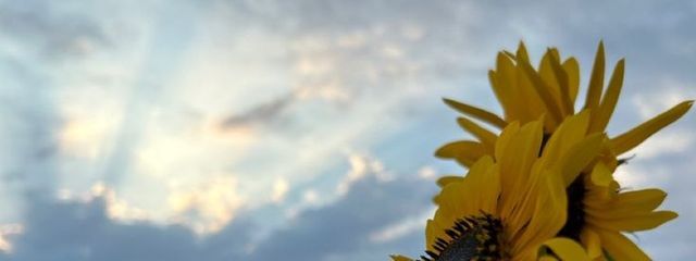 あやせ☁️さんの壁紙画像