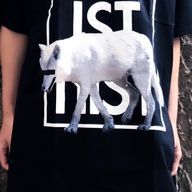 九尾🦊さんのアイコン画像