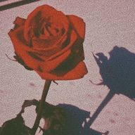 おれんじ🍊さんのアイコン画像