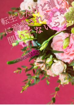 転生したけど推しに溺愛されるとか聞いてないっ！