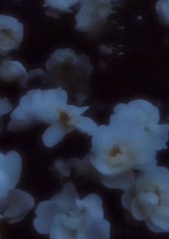 病み日記（愚痴日記）