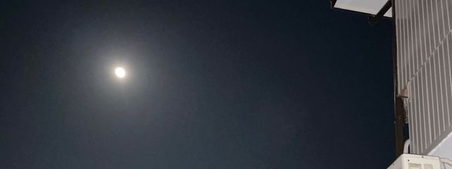 あかね　___チグリジア______さんの壁紙画像