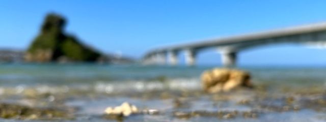 ココさんの壁紙画像