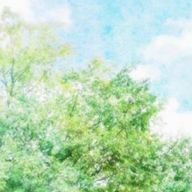 はなのすけさんのアイコン画像