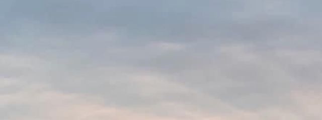 珠さんの壁紙画像