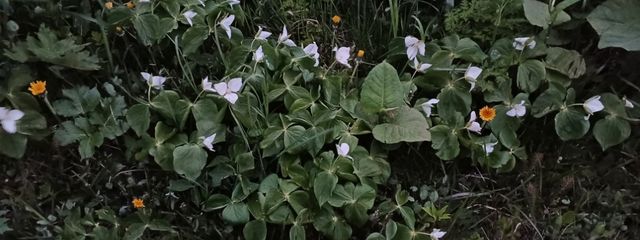 亜井 海月さんの壁紙画像