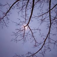 亜井 海月さんのアイコン画像