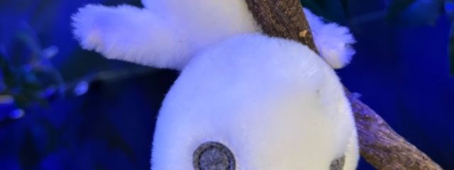 私ちゃんさんの壁紙画像