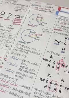✎𓈒𓂂𓏸 𝚜𝚝𝚞𝚍𝚢... 🗒