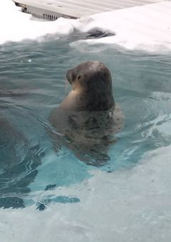 会ってみたい人挙手✋