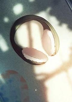 俺の性癖は動物との交尾