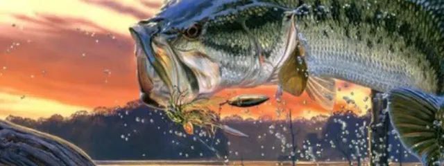 龍生さんの壁紙画像