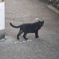 nan•_•さんのアイコン画像