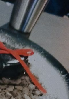 星の記録と神の記憶