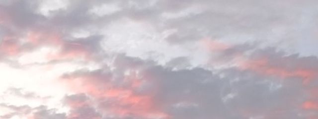 ﾉtsukinoﾉさんの壁紙画像