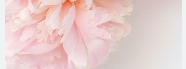 DominanTさんの壁紙画像