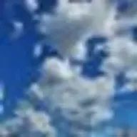 chiさんのアイコン画像