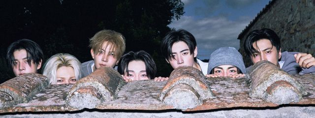 れいんぼぅ しゃ ~ べっと さんの壁紙画像