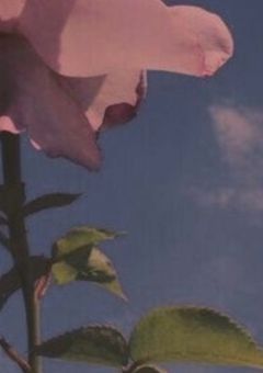 VOCALOID  ＿  ／  ⌒  夢