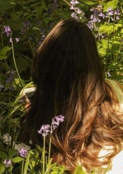 ホグワーツの愛され姫