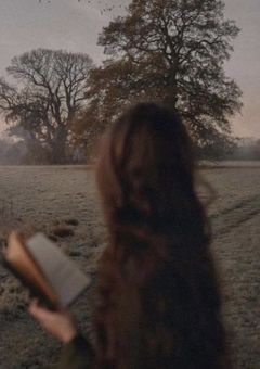 灰と星の少女 - ハリー・ポッターと均衡の子 -