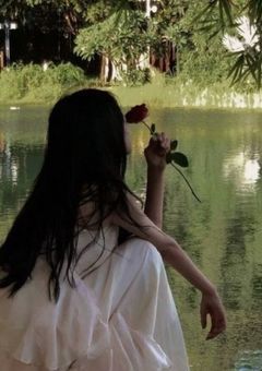 The Collector’s Collection