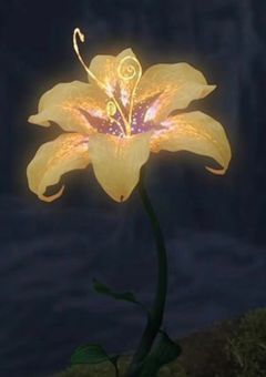 塔の中の姫君、光を歌う
