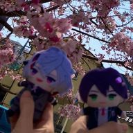 揺蕩う缶🐟さんのアイコン画像