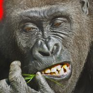 白間 かな。さんのアイコン画像