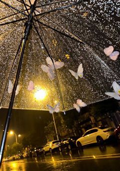 結ばれない僕たち