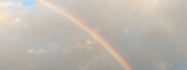 ひつじNさんの壁紙画像