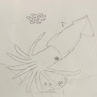 ひつじNさんのアイコン画像