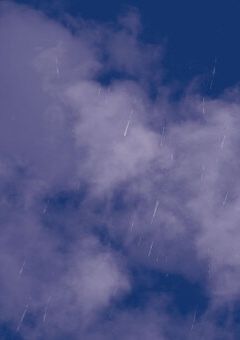 誰でもおいで
