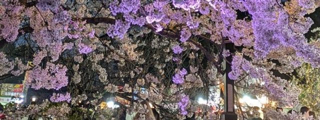 ゆーさんの壁紙画像