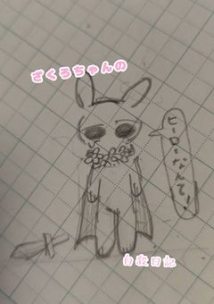 ざくろちゃんの自殺日記