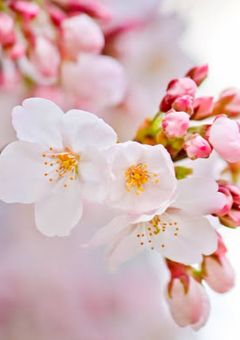 入った会社の社員達、全員相当なアホでしたww