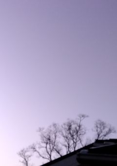 もしからしたらの世界線の太宰さん