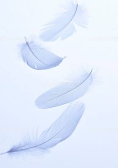 精神科  ＿＿ 小さきダイスを守る者