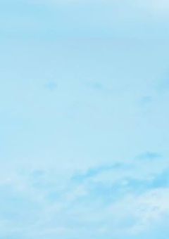 金田一には姉が居ました