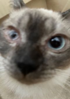 雑談   ٩( ᐛ )وﾍｹｪｯ