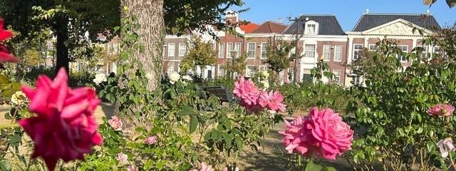 Sunnyさんの壁紙画像