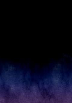 偽物兄弟 （WT ）打ち切り