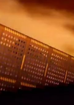 ロスサントス警察は今日も平和です【警察組】