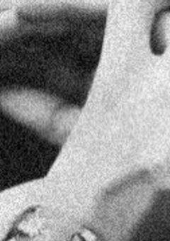 貴方に愛されたいのさ ____