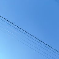 haruzame/-はるザメさんのアイコン画像